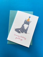 Grumpy Cat Birthday Card – Funny Illustrated Greeting Card