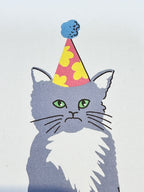 Grumpy Cat Birthday Card – Funny Illustrated Greeting Card